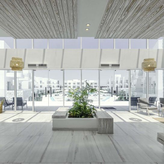 A Large Room With A Large Glass Wall And A Large Planter